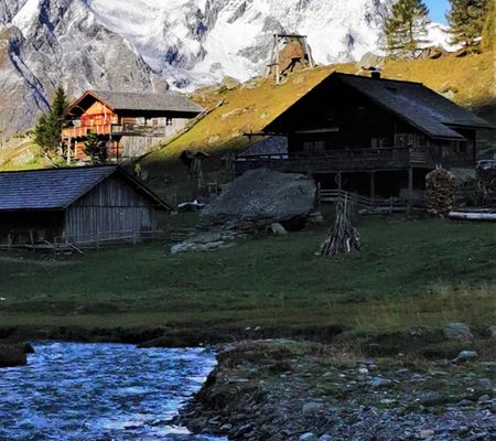 Bildgalerie - Steiner Alm und Umgebung in Matrei in Osttirol | Bild von Wibmer Ingemar