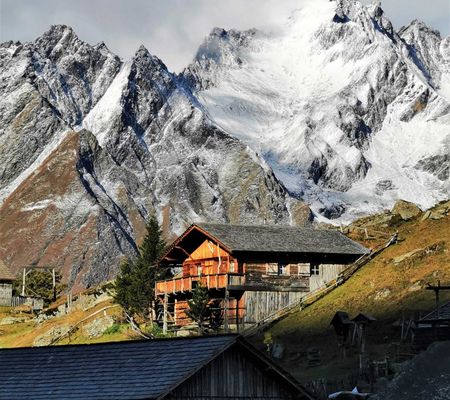 Bildgalerie - Steiner Alm und Umgebung in Matrei in Osttirol | Bild von Wibmer Ingemar