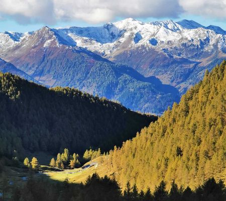 Bildgalerie - Steiner Alm und Umgebung in Matrei in Osttirol | Bild von Wibmer Ingemar