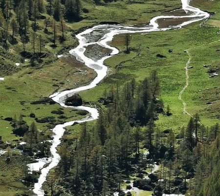 Bildgalerie - Steiner Alm und Umgebung in Matrei in Osttirol | Bild von Wibmer Ingemar