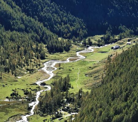 Bildgalerie - Steiner Alm und Umgebung in Matrei in Osttirol | Bild von Wibmer Ingemar