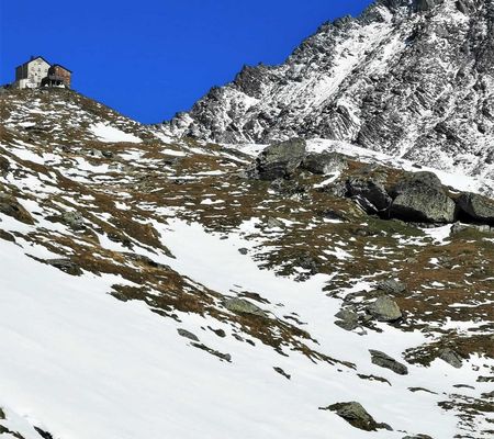 Bildgalerie - Steiner Alm und Umgebung in Matrei in Osttirol | Bild von Wibmer Ingemar