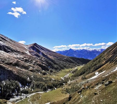 Bildgalerie - Steiner Alm und Umgebung in Matrei in Osttirol | Bild von Wibmer Ingemar