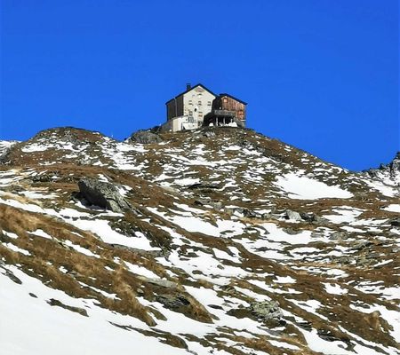 Bildgalerie - Steiner Alm und Umgebung in Matrei in Osttirol | Bild von Wibmer Ingemar