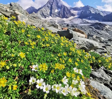 Unterm Großglockner und Umgebung | Bild: Wibmer Ingemar