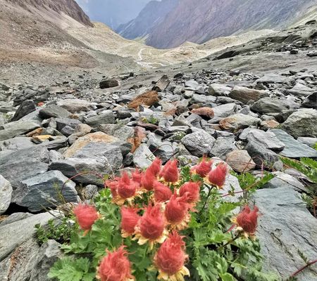 Unterm Großglockner und Umgebung | Bild: Wibmer Ingemar