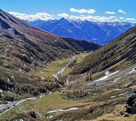 Bildgalerie - Steiner Alm und Umgebung in Matrei in Osttirol | Bild von Wibmer Ingemar