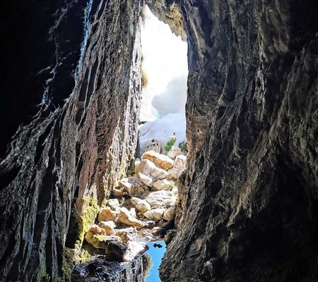 Bildgalerie - Steiner Alm und Umgebung in Matrei in Osttirol | Bild von Wibmer Ingemar