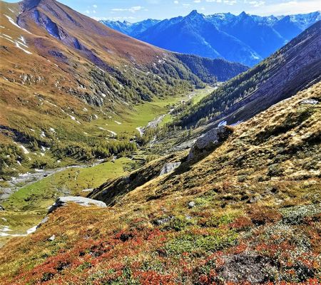 Bildgalerie - Steiner Alm und Umgebung in Matrei in Osttirol | Bild von Wibmer Ingemar