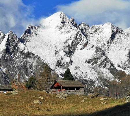 Bildgalerie - Steiner Alm und Umgebung in Matrei in Osttirol | Bild von Wibmer Ingemar